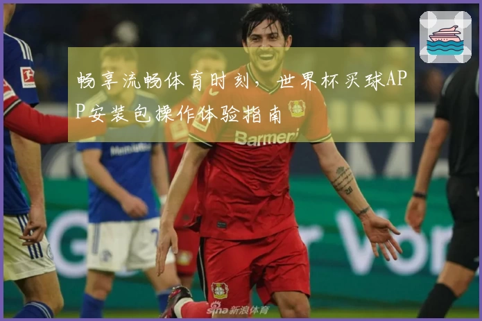 畅享流畅体育时刻，世界杯买球APP安装包操作体验指南